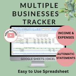 Multiple Business Bookkeeping | Income Expense Accounting | Printable Profit Loss Balance Sheet Statements